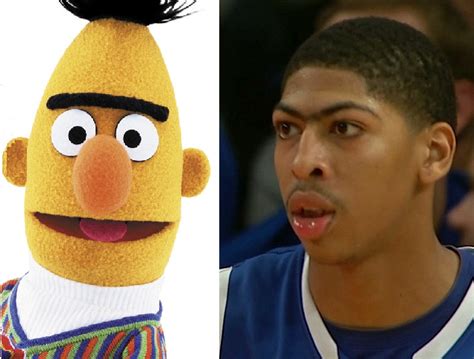 Anthony Davis Unibrow | NBA FUNNY MOMENTS