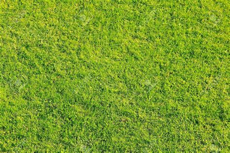 Texture of green grass for football field | Grass textures, Artificial grass, Artificial lawn