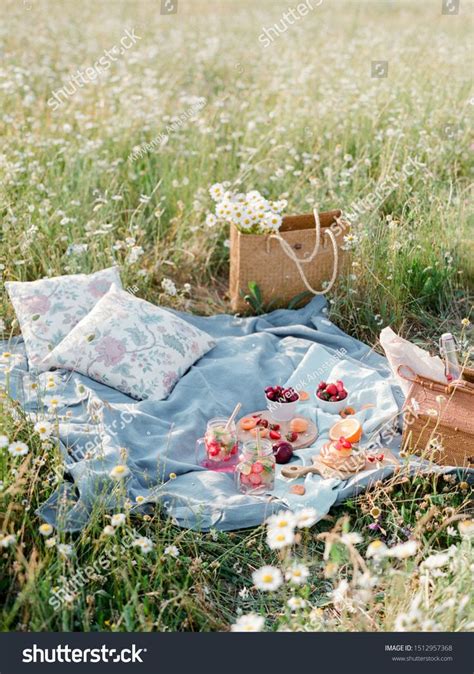 Picnic in the chamomile flower field with fruits, lemonade and sweet ...