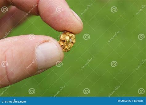 Gold Nugget Mining from the River Stock Image - Image of panning ...