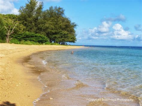 Anini Beach - Boss Frog's Snorkel, Bike & Beach Rentals