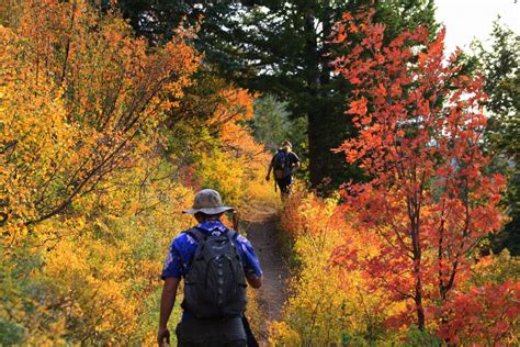 Best Five Fall Hikes In The Rocky Mountains|GNPTG