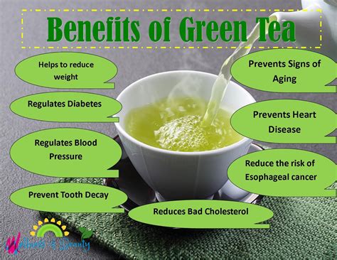 8 Amazing Benefits Of Drinking Green Tea