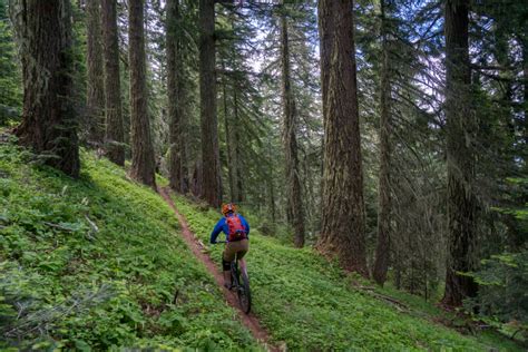 Umpqua River Trail - Western Spirit Cycling