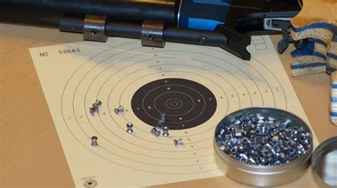 Learn More About 7 Different Types of Airgun Pellets