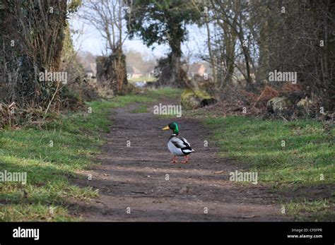 Long way to go Stock Photo - Alamy