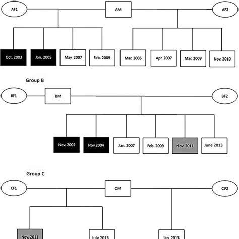 (PDF) Recovery of the Critically Endangered Hainan gibbon Nomascus hainanus