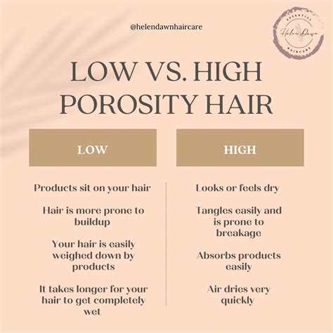 Low vs. High Porosity Hair in 2024 | Hair porosity, High porosity hair, Low porosity hair care