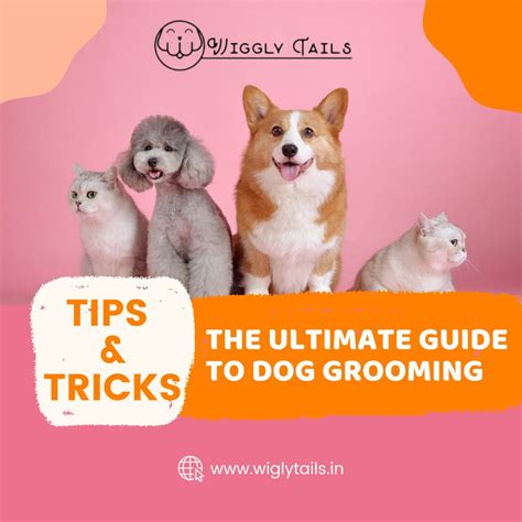 The Ultimate Guide To Dog Grooming: Tips & Tricks