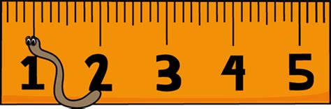 Inches Ruler - ClipArt Best