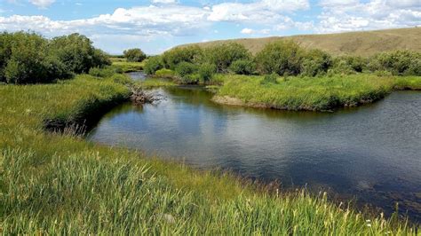 Illinois River – near Rand and Walden, CO