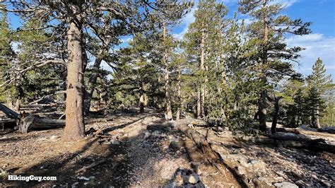 Sugarloaf Mountain Trail Guide – Big Bear – HikingGuy.com