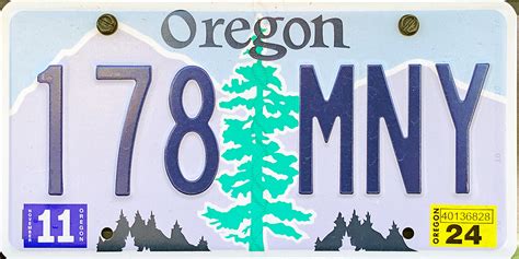 New Oregon License Plate 2024 - Liz Sarita