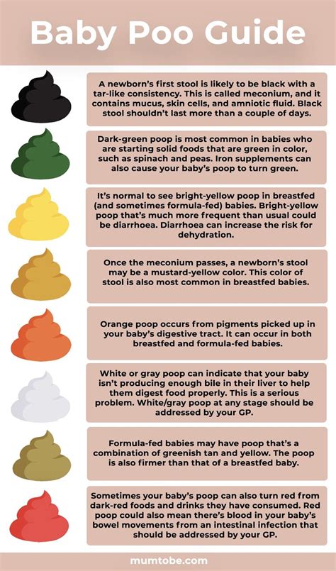 pin on baby tips baby hacks - whats your toddlers poo telling you infographic diaresq | poop ...