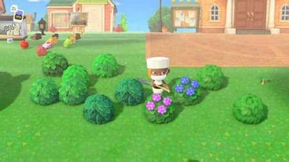 ACNH | Bushes (Shrubs) & Hedge - How To Get | Animal Crossing - GameWith