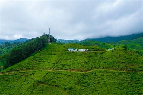 Menu dan Harga Warpat Puncak Bogor 2023 untuk Nongkrong Melepas Penat dengan Pemandangan yang ...