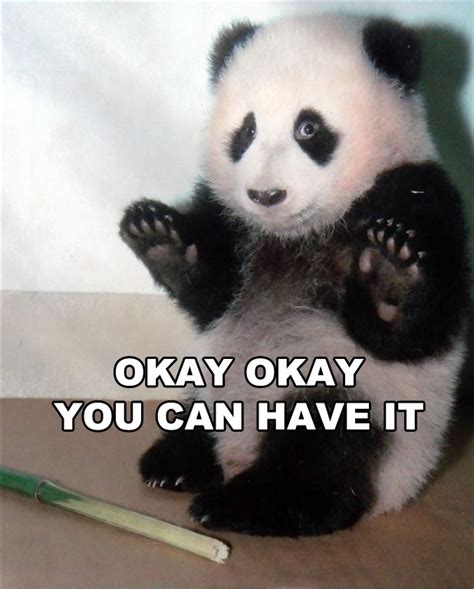 Famous Panda Quotes. QuotesGram