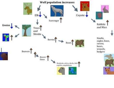 Wolves - The Other Side Of The Wolf