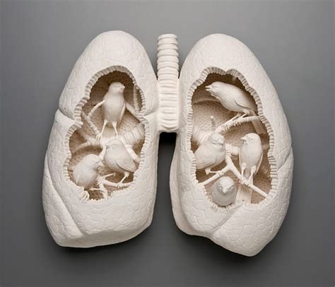 The Porcelain Sculptures of Kate MacDowell — Colossal