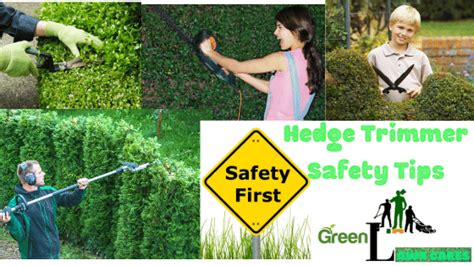 Hedge Trimmer Safety Tips - Green Lawn Cares