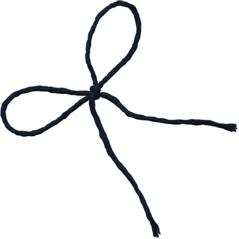 Shoelaces PNG