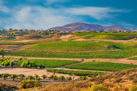 25 Best Temecula Wineries & Wine Tasting Tours for 2024