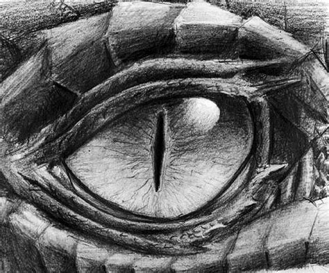 Pin by Savannah Rostetter on drawing | Dragon eye drawing, Dragon ...