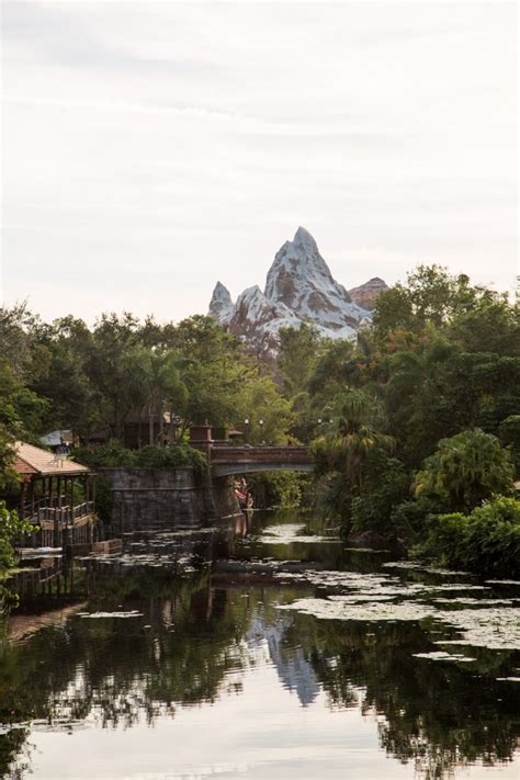 Expedition Everest at Disney's Animal Kingdom - 4 All Things Disney