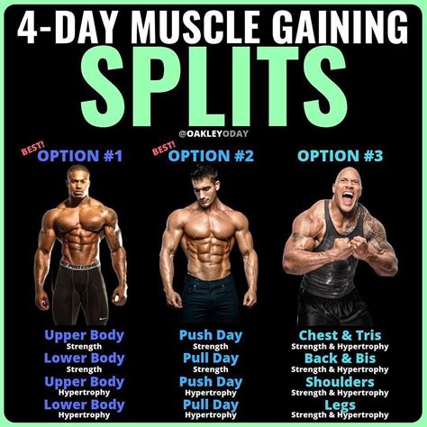 All 3 of these 4-Day splits are great for building muscle. However ...