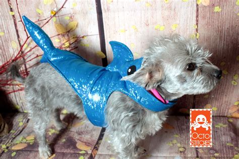 Dog shark halloween costume harness | Pet costumes, Shark halloween ...