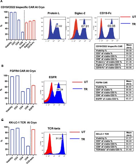 Generation of CAR/TCR T-cell flow cytometry quality control cells.... | Download Scientific Diagram