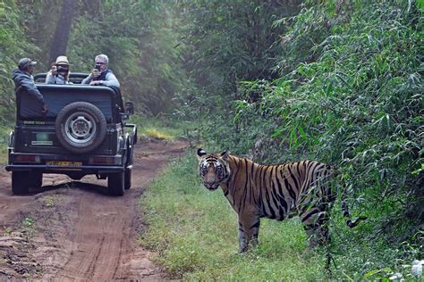 Jungle safari in Satpura National Park