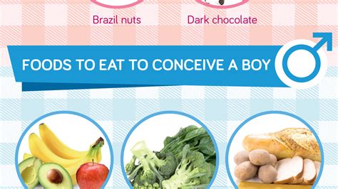 Foods that can help you conceive a girl or boy! [Infographic]