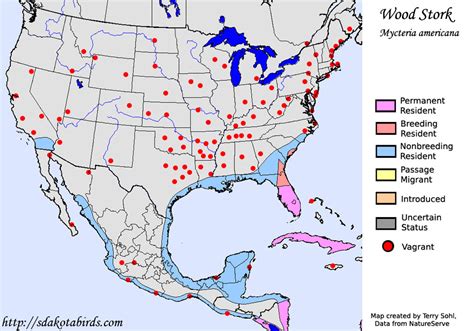 Wood Stork - Species Range Map