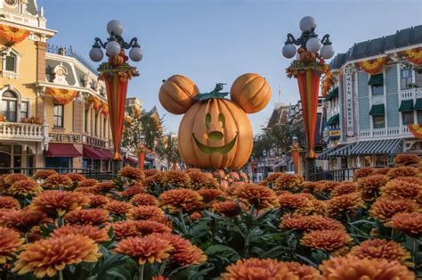 ALL of the Halloween Sippers, Popcorn Buckets, & More Coming to Disneyland! - MickeyBlog.com