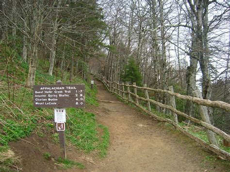 Fishing Through Life: Hiking The Appalachian Trail Georgia to Maine