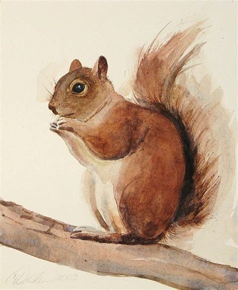 Red squirrel print