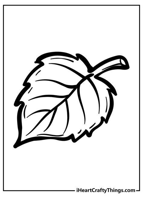 Nature Leaf Coloring Pages