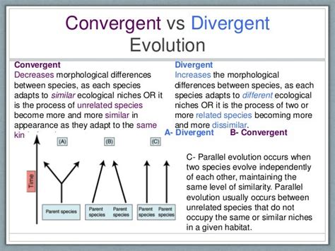 D2 species and speciation