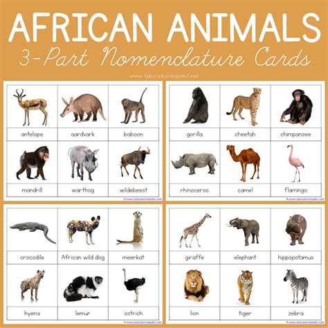 African Animals Montessori Printables – FREE 3 Part Cards - 1+1+1=1 | Montessori printables ...