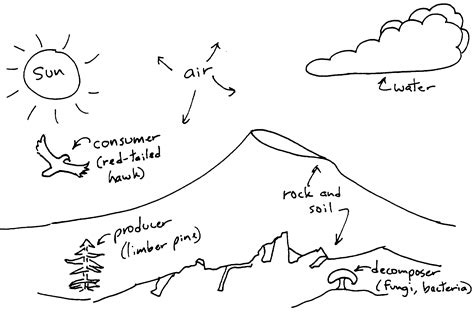 Activity 5A - Craters Of The Moon National Monument & Preserve (U.S. National Park Service)