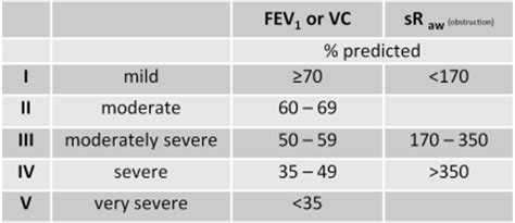 Step 2: quantitative assessment of spirometry | basics | lungfunction.net