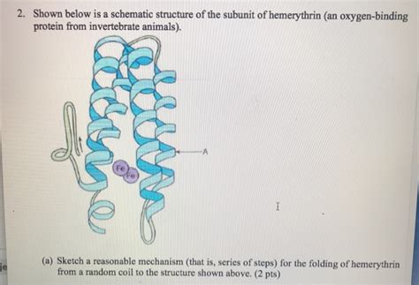 Solved Shown below is a schematic structure of the subunit | Chegg.com