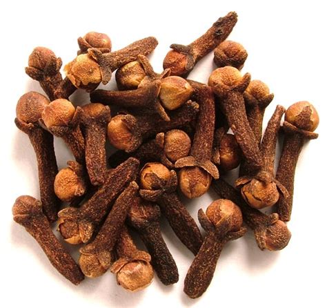 How to Grow Cloves | Cultivation and Growing Cloves | Balcony Garden Web