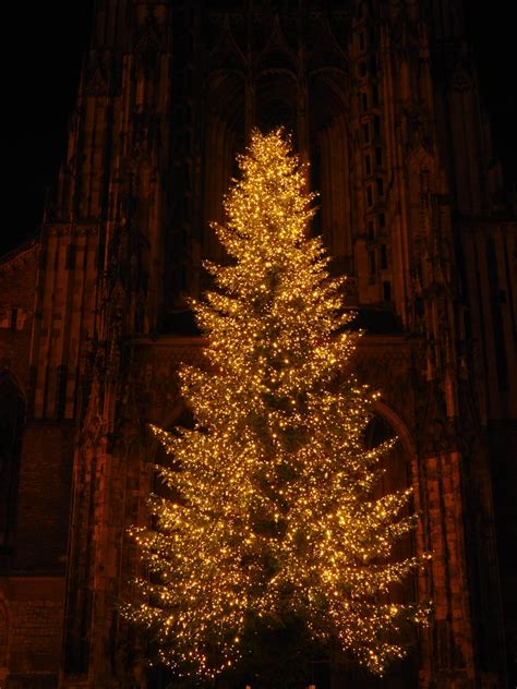 Fotos gratis : rama, noche, oscuro, Iglesia, iluminación, árbol de Navidad, Decoración navideña ...