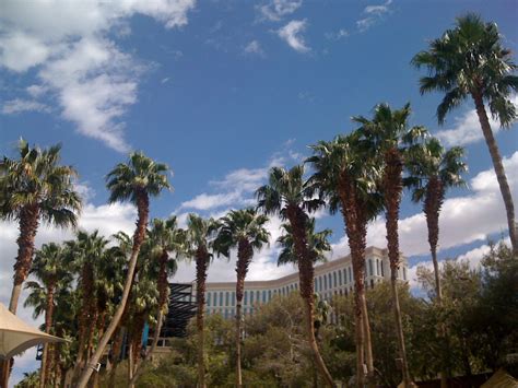 Las Vegas in the Summer