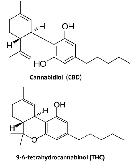 Chemical structure of cannabidiol and 9-Δ-tetrahydrocannabinol. | Download Scientific Diagram