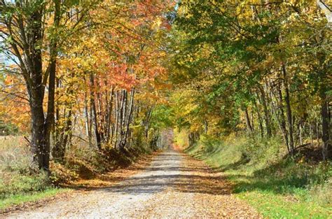 Autumn on the country road — Stock Photo © idizimage #10771125