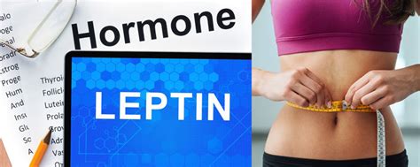 Leptin Supplements And How To Lose Weight Safe?