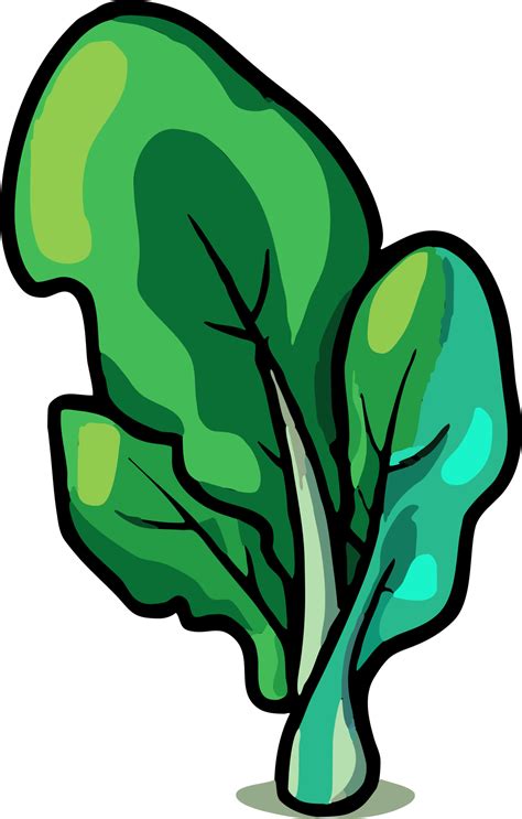 spinach png graphic clipart design 23623239 PNG